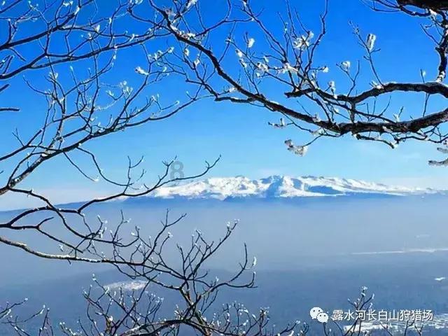 大寒｜围炉煮茶话家常
