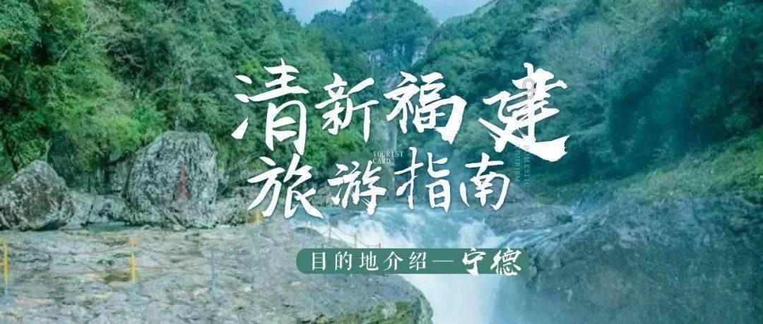 少年泰坦大出击