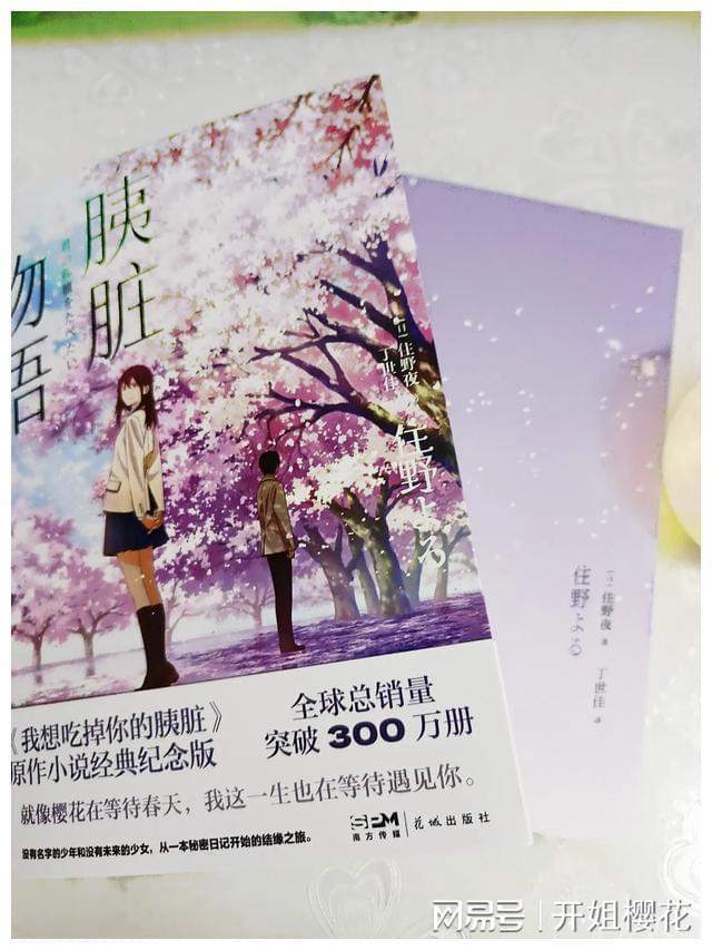 迷你拉力赛车