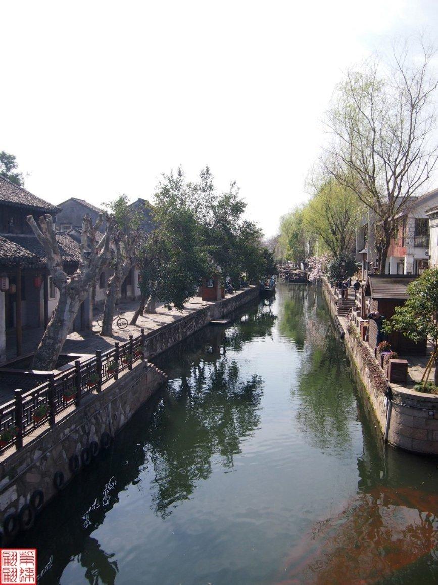 拯救红松鼠
