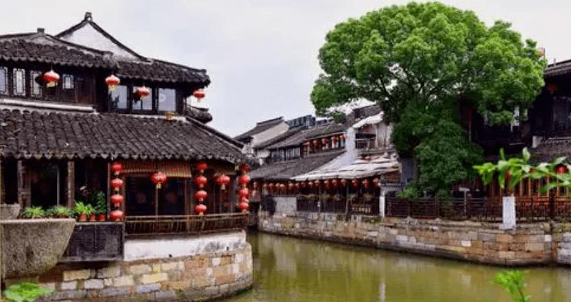 植物大战僵尸11