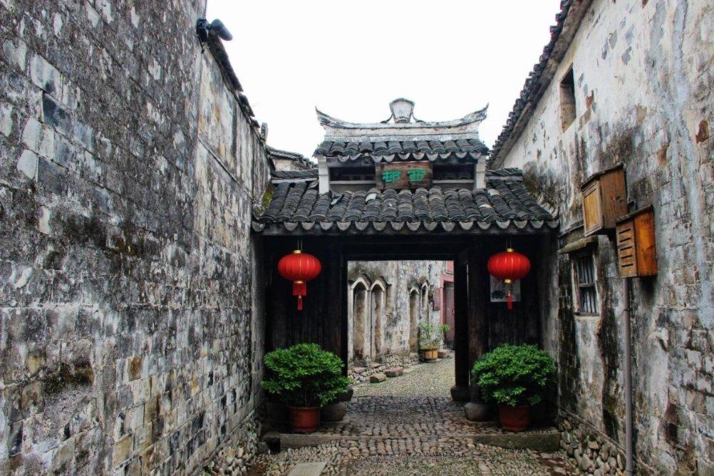 寻找沙漠珍宝